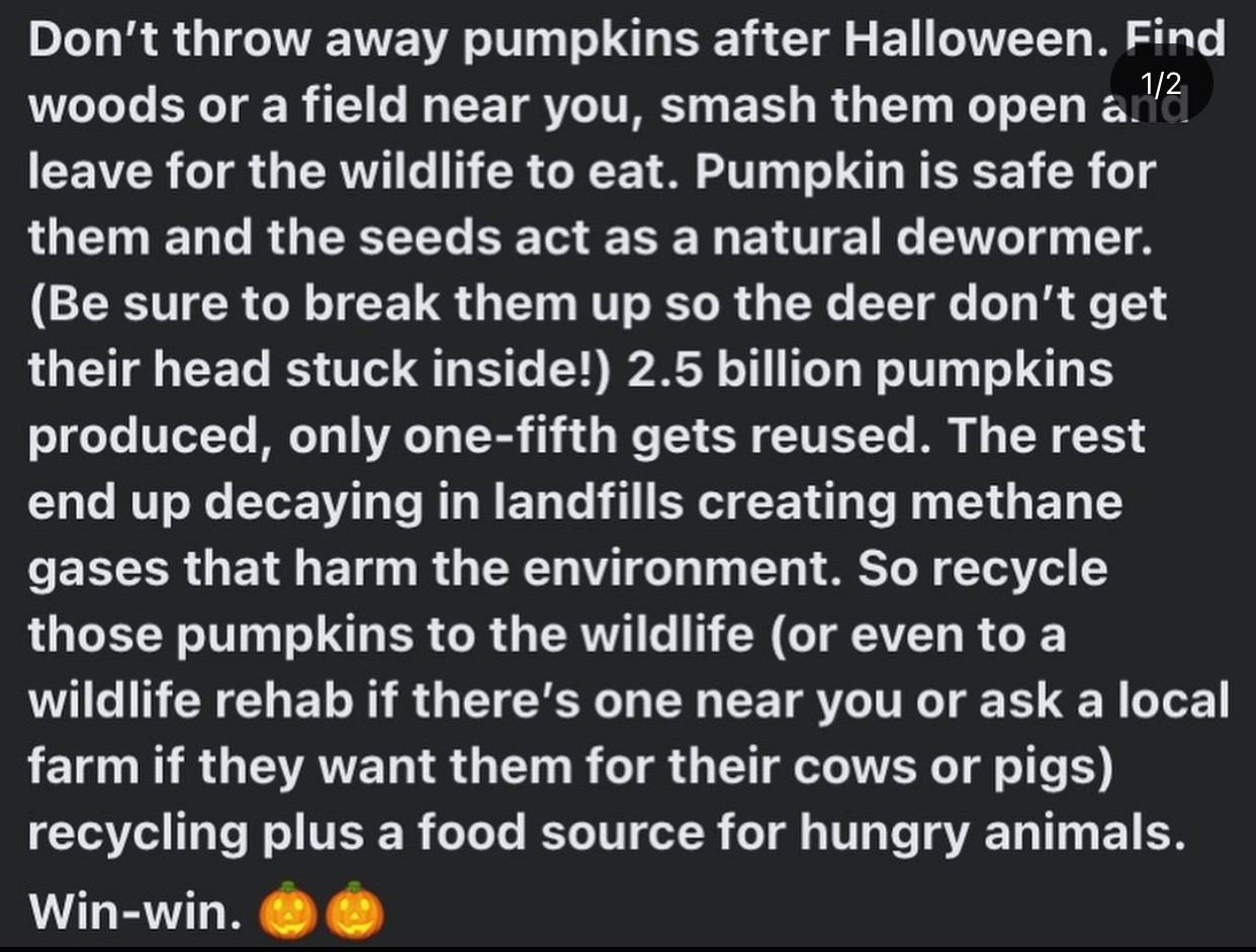 Name:  Pumpkin Recycle.jpg
Views: 2995
Size:  234.6 KB
