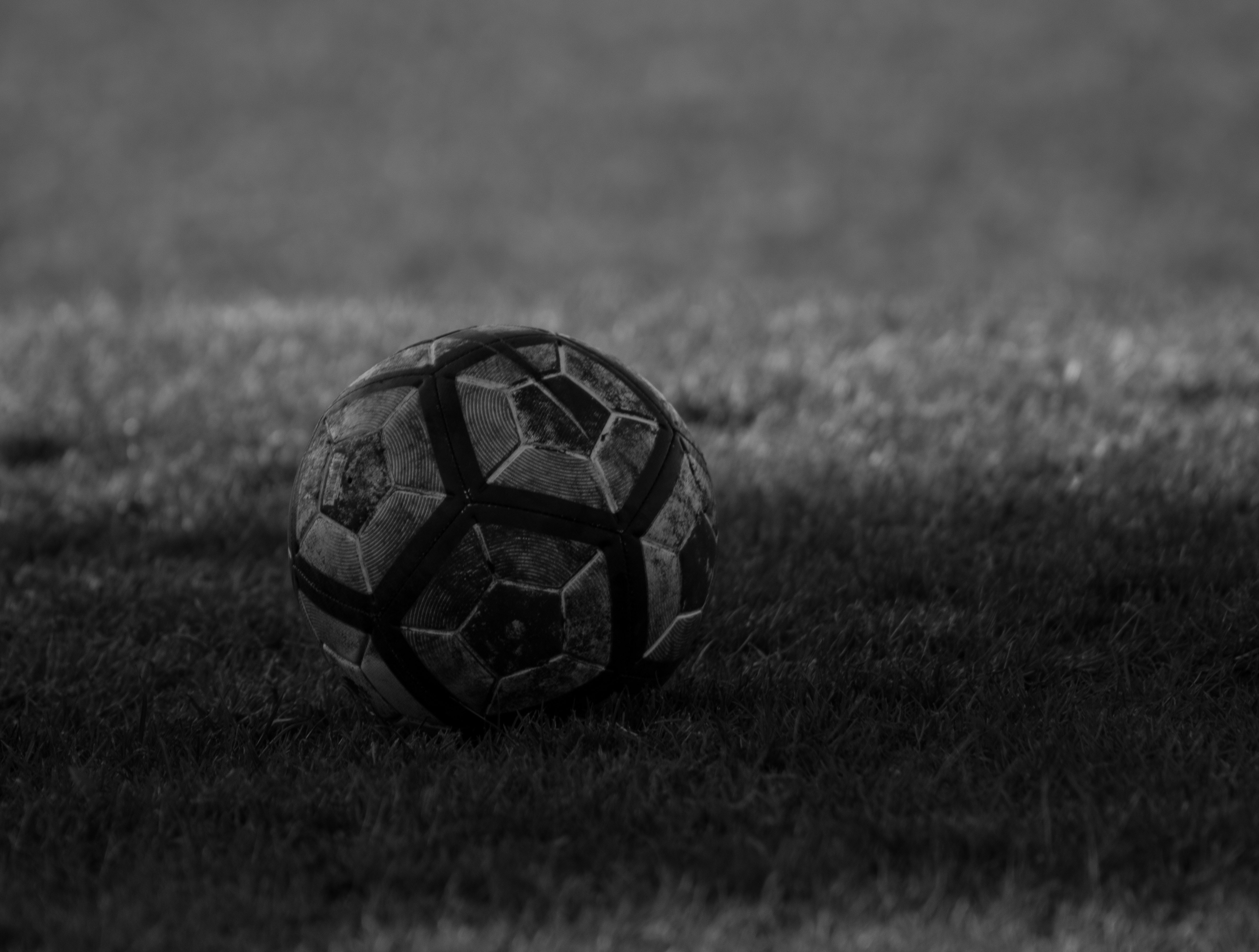 Name:  david-clarke-GEY3HYVwi1E-unsplash.jpg
Views: 29721
Size:  1.65 MB