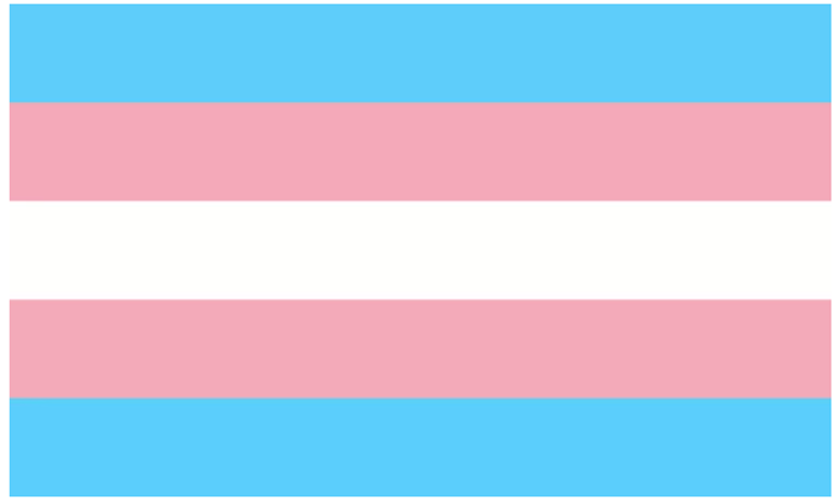 Name:  TheTransgenderFlag.png
Views: 9440
Size:  3.8 KB