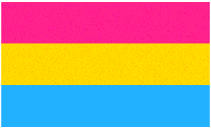 Name:  ThePansexualFlag.png
Views: 9468
Size:  29.0 KB