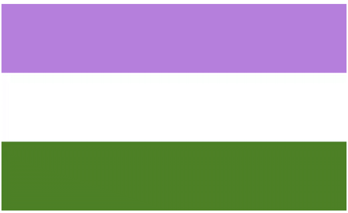 Name:  TheGenderQueerPrideFlag.png
Views: 9371
Size:  3.5 KB